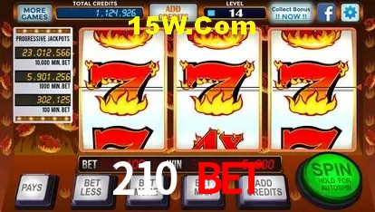 210 Bet - User Statistics